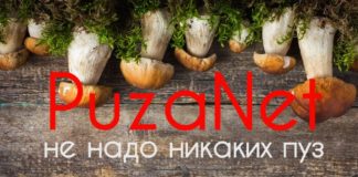 Можно ли худеющему есть грибы? грибы для худеющих