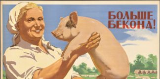Ожирение и похудение человека, как маркеры его личностного развития похудение как личностное развитие