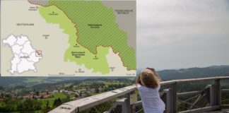 Национальный парк “Баварский лес”. 40 фото с пояснениями как там всё устроено баварский лес национальный парк