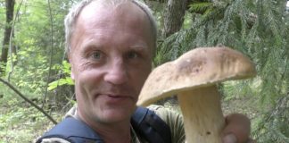 Есть грибочки? Будет и дюксель.☝ Обязательно будет, друзья дюксель грибная паста